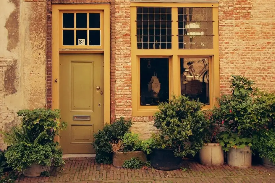Calle de Leiden que muestra unos grandes ventanales, característicos en la región y mucha vegetación en macetas.